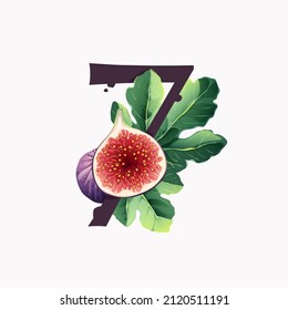 Number seven logo with fresh ripe purple fig fruit and slices with leaf. Vector watercolor hand drawn illustration, isolated on white background.