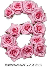 A number six is artistically crafted using numerous light pink roses, forming a visually appealing and romantic numeral against a pure white background.