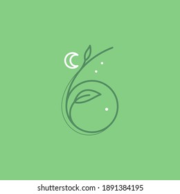 Number six logo with graceful with moon, stars and leaves decoration. It is perfect to use in any vintage branding, romantic packaging, eco posters, astrology blog design, holiday invitations.