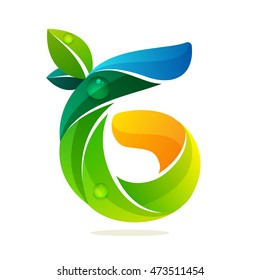 Number six logo with green leaves and water waves. Vector elements for ecology banner, presentation, web page, card, labels or posters.