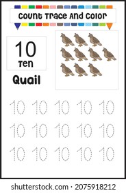 number trace and color quail. count quail