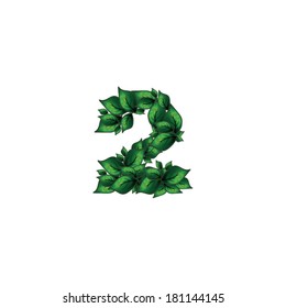 Number two (2), alphabet of green leaves on white background