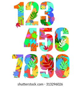 number vector design symbol nature illustration leaf
