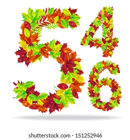 numbers of autumn leaves