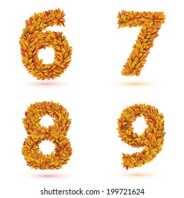 Numbers of autumn leaves collection. Fall bright orange leaves elements. Eps 10 vector illustration.