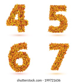Numbers of autumn leaves collection. Fall bright orange leaves elements. Eps 10 vector illustration.