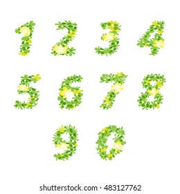Numbers design with sweet flowers concept. vector file