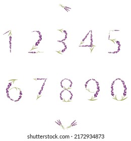 Numbers in the form of spring lavender in bright purple tones. 