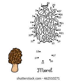 Numbers game for children, dot to dot education game. Edible mushrooms, morel