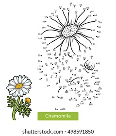 Numbers game, education dot to dot game for children, flower Chamomile