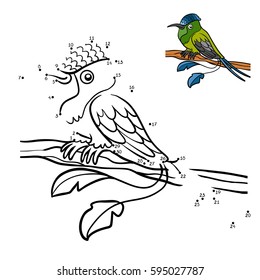 Numbers game, education dot to dot game for children, Racket-tail Hummingbird