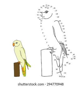 Numbers game (parrot) 