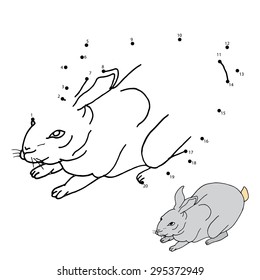 Numbers game (rabbit)