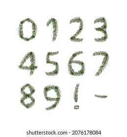 Numbers from green Christmas tree branches. Festive font, symbol of happy New Year and Christmas, character for date decoration