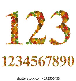Numbers made with leaves, floral numerals set, vector design.