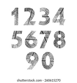 Numbers made textured leaves. Vector illustration.