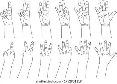 Numbers from one to five, hand gestures in various sides view. Concept of finger counting in sign language. Vector illustration in outline style isolated on white background. 