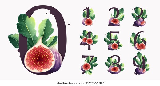 Numbers set with fresh ripe purple fig fruit and slices with leaf. Vector watercolor hand drawn illustration, isolated on white background.