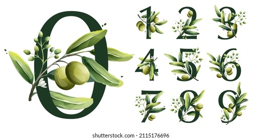 Numbers set in watercolor style with olive branches. Illustration of mediterranean berries, green leaves, flowers, buds, and branches. 