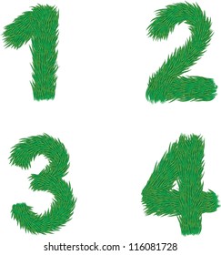 Numbers, type of pine trees, a Vector element of design.