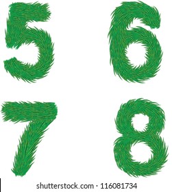 Numbers, type of pine trees, a Vector element of design.