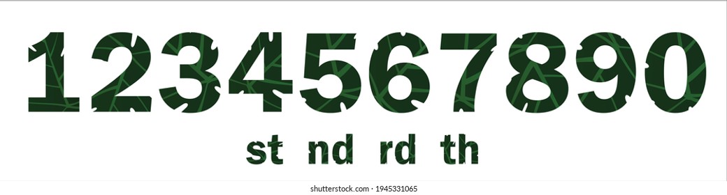 Numbers Vector on a palm leaf theme. wrapped in green and light green fibers. with a transparent background