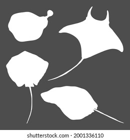 Numb-fishes White Silhouette Set. Vector Collection of Stingray Illustrations