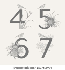 Numeral 4 5 6 7, flowers peonies, decorative herbs and birds isolated set. Vector decoration. Black and white. Vintage illustration. Floral pattern for greetings, wedding invitations, anniversary card