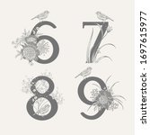 Numeral 6 7 8 9, flowers peonies, decorative herbs and birds isolated set. Vector decoration. Black and white. Vintage illustration. Floral pattern for greetings, wedding invitations, anniversary card