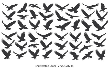 Numerous eagle silhouettes in diverse soaring and diving flight poses
