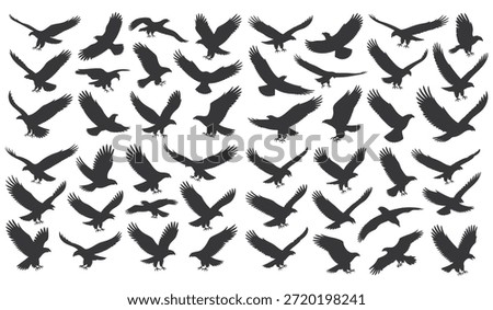 Numerous eagle silhouettes in diverse soaring and diving flight poses