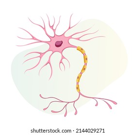 3 Science brain nurons Images, Stock Photos & Vectors | Shutterstock