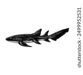 Nurse Shark hand drawing vector isolated on white background.