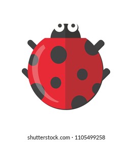 Nursery nature insect vector beetles