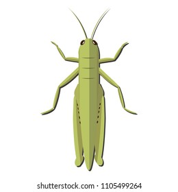 Nursery nature insect vector grasshopper