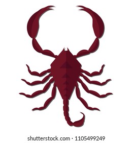 Nursery nature insect vector scorpion