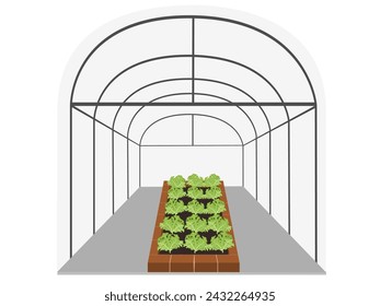Nursery seedlings on white background