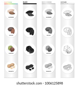 Nut, almonds, pecans, and other web icon in cartoon style. Delicacy, treats, product icons in set collection.