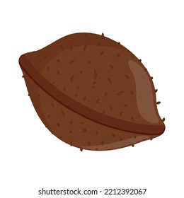 nut autumn icon flat isolated