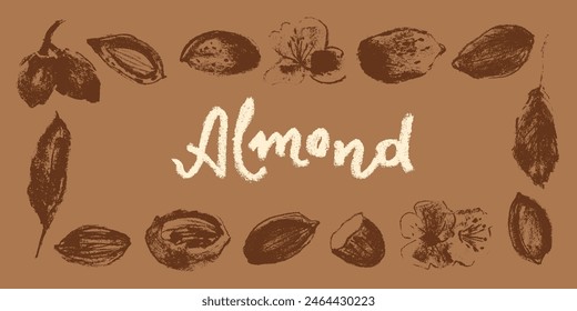 Borde de nuez con ilustraciones de almendras para fondo de Anuncio, embalaje, etiqueta de pasta de mazapán, diseños de póster. Dibujos de almendras de Vector en estilo dibujado a mano. Corona o borde de almendras. Chocolate con nueces.