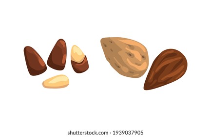 Nut Collection, Almond and Pine Nuts, Nutritious Vegetarian Food Ingredients Cartoon Vector Illustration