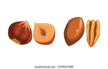 Nut Collection, Macadamia and Hazelnut Nuts, Nutritious Vegetarian Food Ingredients Cartoon Vector Illustration