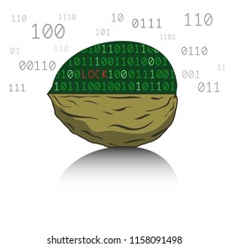 The nut consists of a computer code.  Vector illustration.
