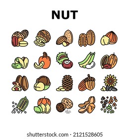 Nut Delicious Natural Nutrition Icons Set Vector. Peanut And Almond Nut, Walnut And Hazelnut, Sesame And Cashew Tasty Vitamin Food Line. Pistachio And Cocoa, Soy And Acorn Color Illustrations