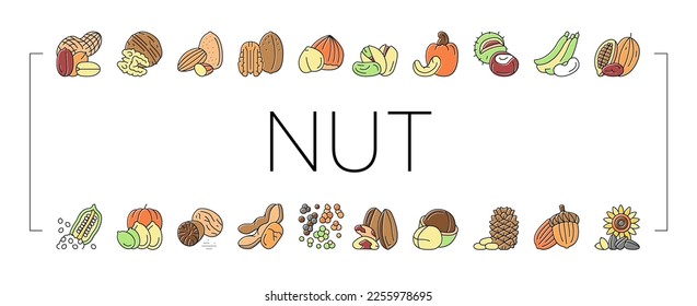 Nut Deliciosos Iconos De Nutrición Natural Set Vector. Tuerca De Maní Y Almendra, Tuerca De Nueces De Nuez De Nueces Y De Náuseas, Sesame Y Cashew Tasty Tasty Vitamina Food Line. Ilustraciones De Color Pistachio Y Cacao, Soja Y Acorn