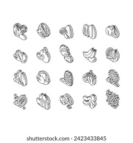 Nut Delicious Natural Nutrition isometric icons set. Peanut And Almond Nut, Walnut And Hazelnut, Sesame And Cashew Tasty Vitamin Food Line. Pistachio And Cocoa, Soy And Acorn Color .