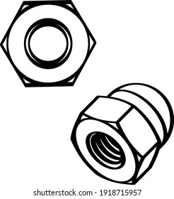 Nut with domed cup on a transparent background. Line drawing set. Vector illustration