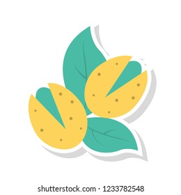 nut dry fruit leaf 
