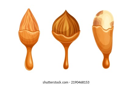 Nut as Edible Seed with Dripping Chocolate or Caramel Melting Liquid Vector Set