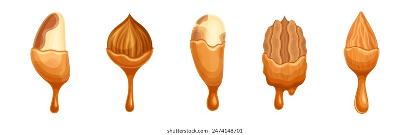 Nut Edible Seed with Dripping Chocolate or Caramel Melting Liquid Vector Set